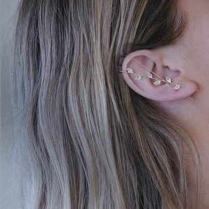 🆕 The Naturyl Ear Anchor Set